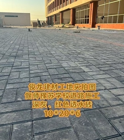 偃師豫蘇學校道路施工 深灰、紅色透水磚 10*20*6