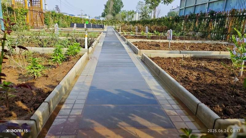 嵩縣中心小學研學基地